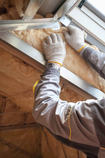 Types of Insulation We Offer in Frederickson, WA